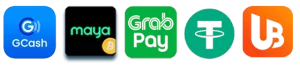 escala website image 18 showing payment